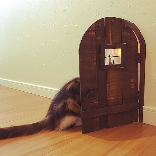 実例写真