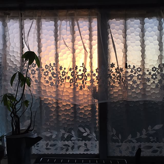moss.shinobu713さんの実例写真