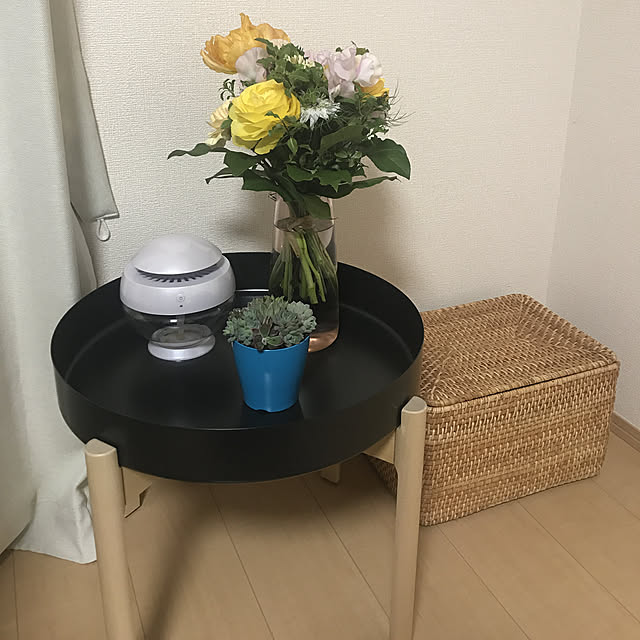 maiさんの実例写真