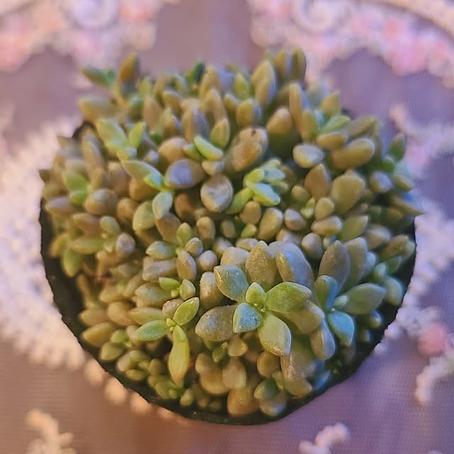 monnさんの部屋
