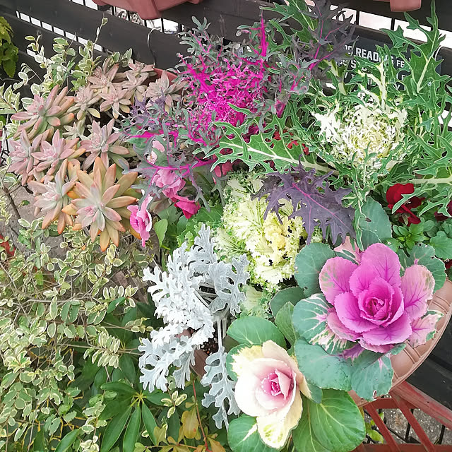 VERANDARJUNさんの実例写真