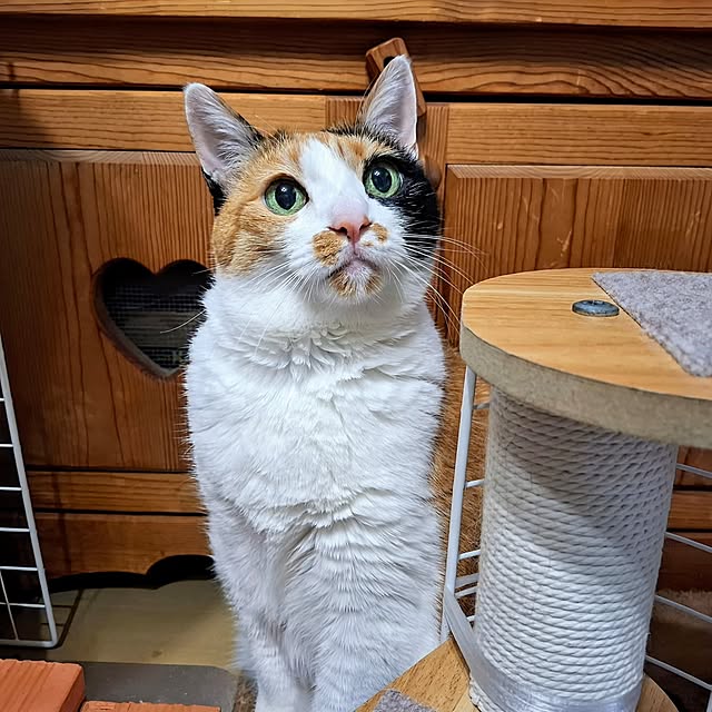 nanaさんの実例写真