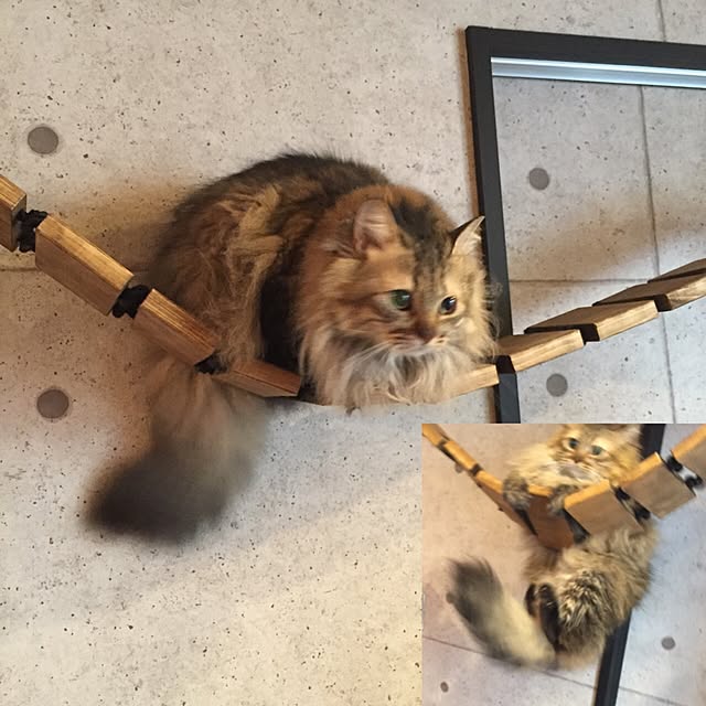 mucさんの実例写真
