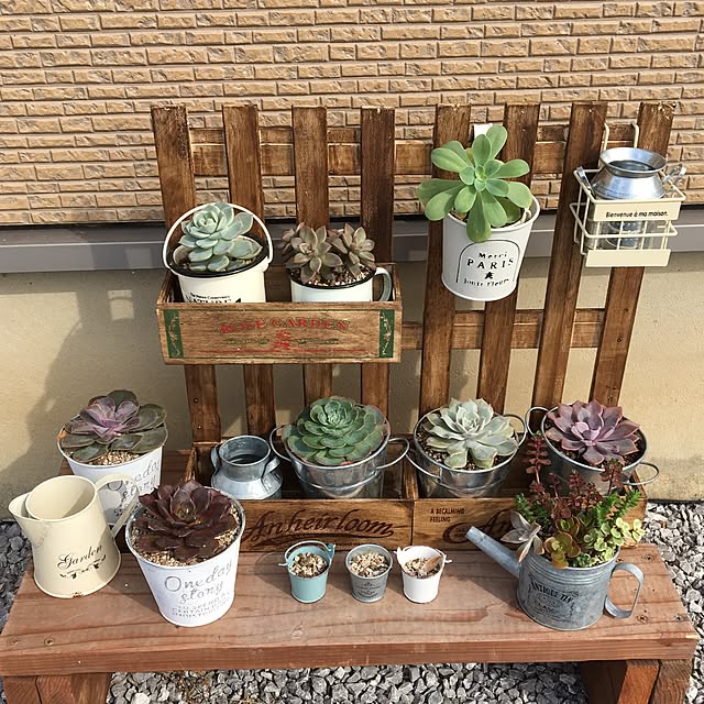 棚/多肉植物 棚/多肉植物/ブリキ缶/多肉棚などのインテリア