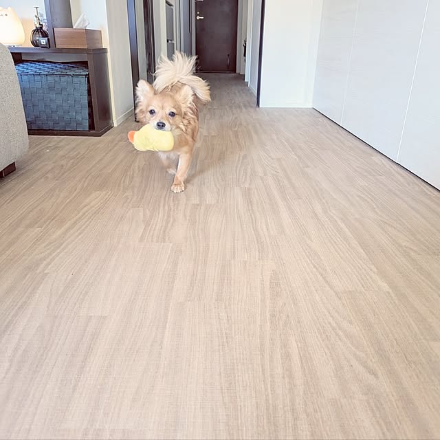 noahさんの部屋