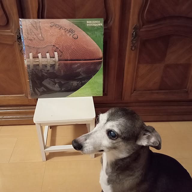 moruさんの部屋