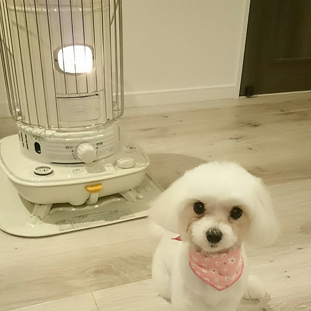 plutoさんの実例写真