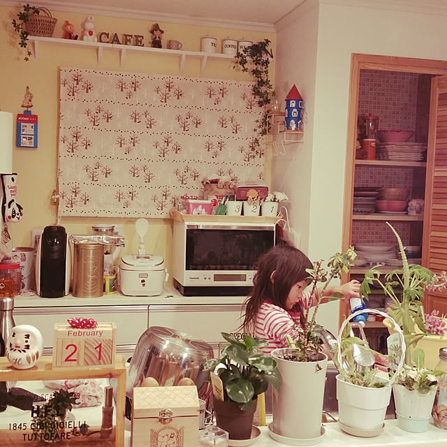 yureruasahiさんの実例写真