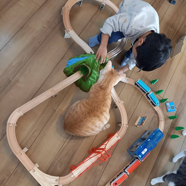 shiiiさんの実例写真