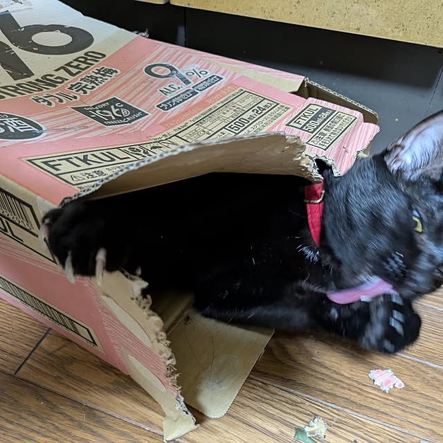 asaさんの部屋