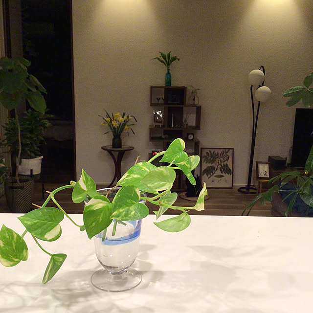 houenさんの部屋