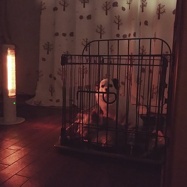 ohanaさんの実例写真