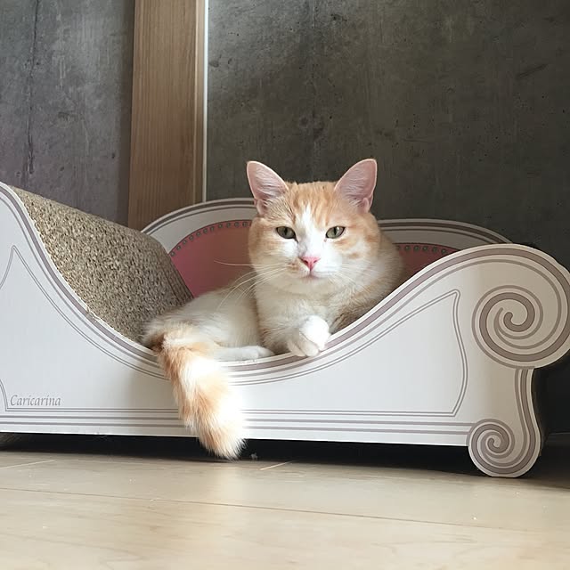 korinkorinさんの実例写真