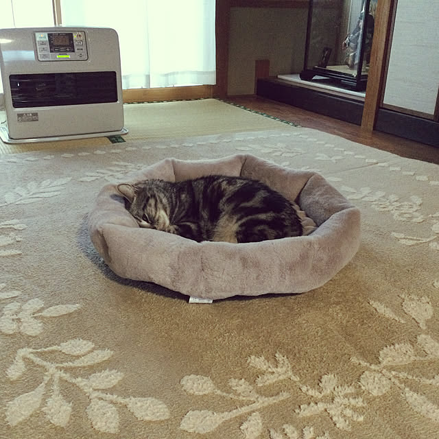 richanさんの実例写真
