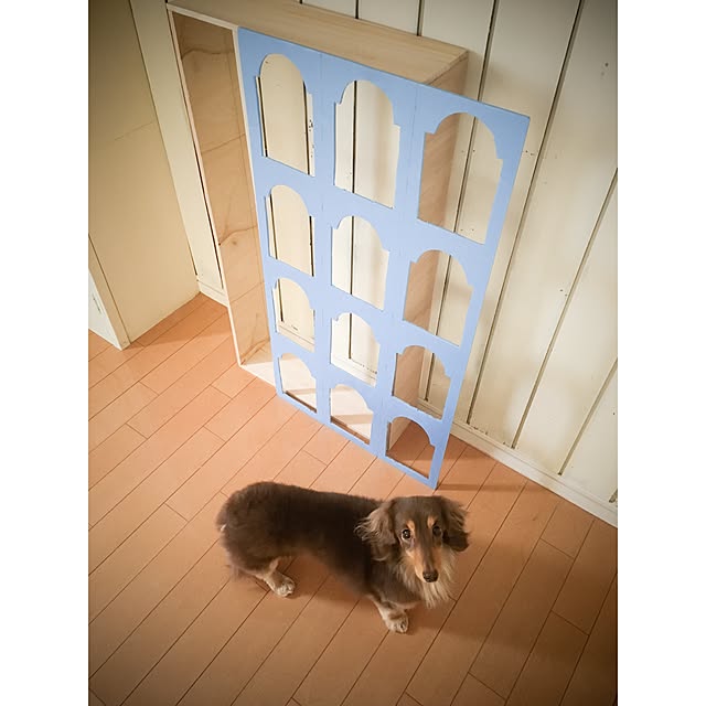 tommyさんの実例写真