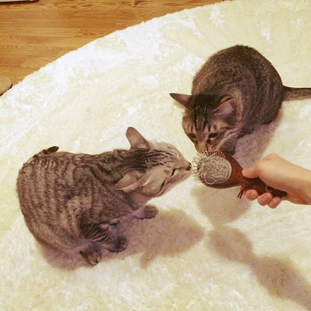 Esunoさんの実例写真