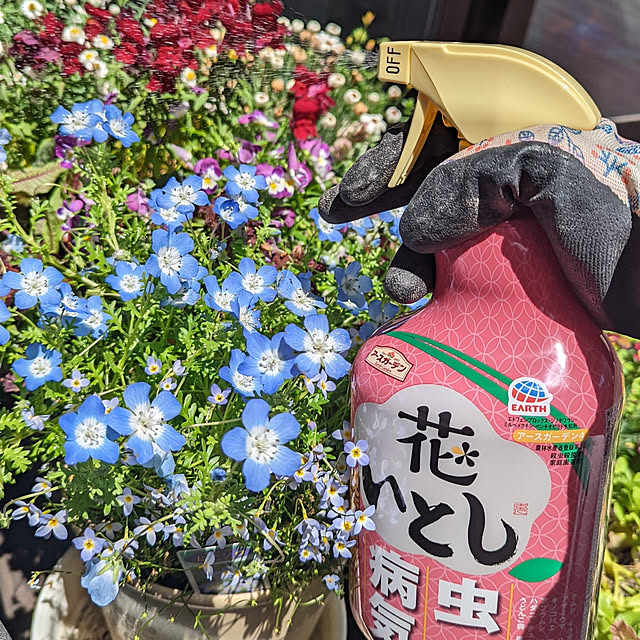 chachahomeさんの実例写真