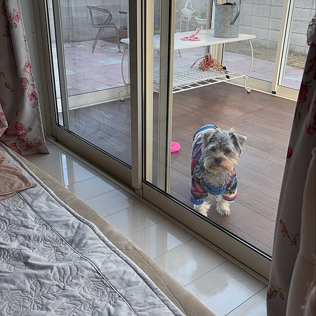 marikoさんの実例写真