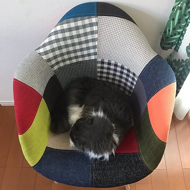 asukinokoさんの実例写真