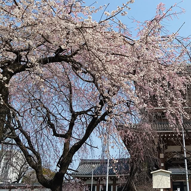 kakkaさんの部屋