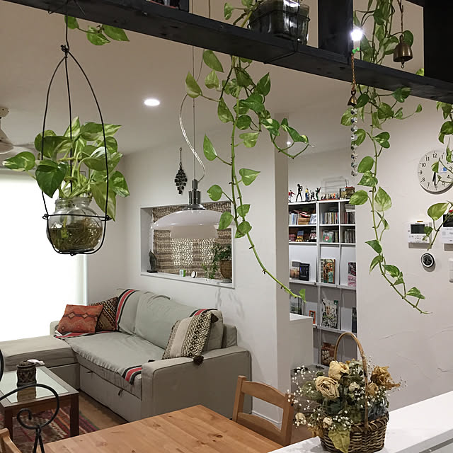 部屋全体/観葉植物/DIY/初投稿のインテリア実例 - 2017-07-19 17:05:34