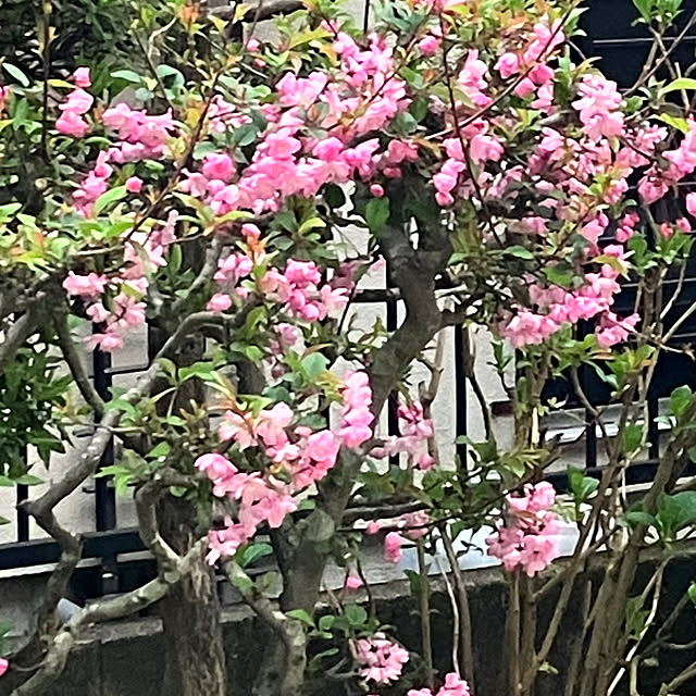 katuさんの部屋