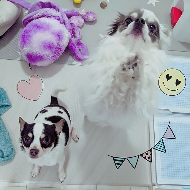 bjhorusさんの実例写真