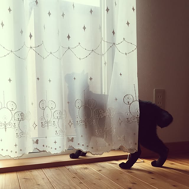 ayumiさんの実例写真