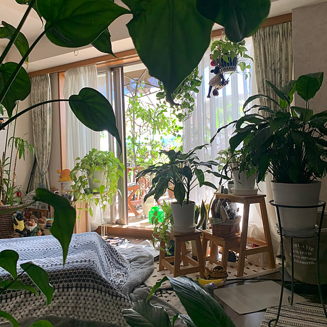 Aqettyさんの部屋