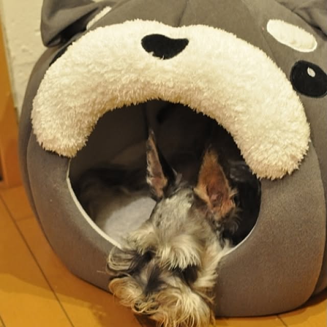 satobonmamaさんの実例写真