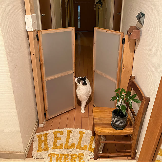 fumioさんの実例写真