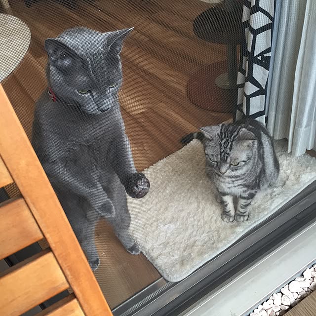 Ryokoさんの実例写真