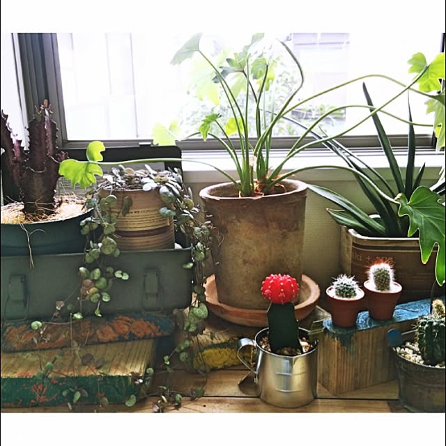 Ruo.さんの実例写真