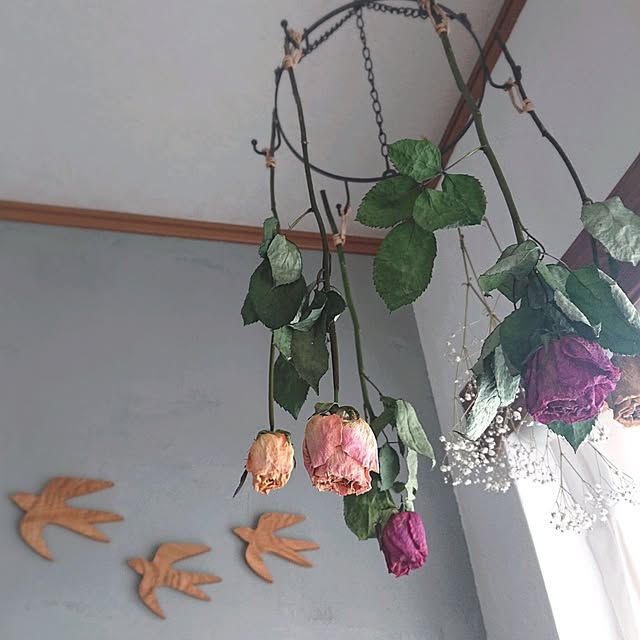 Mi-koさんの部屋