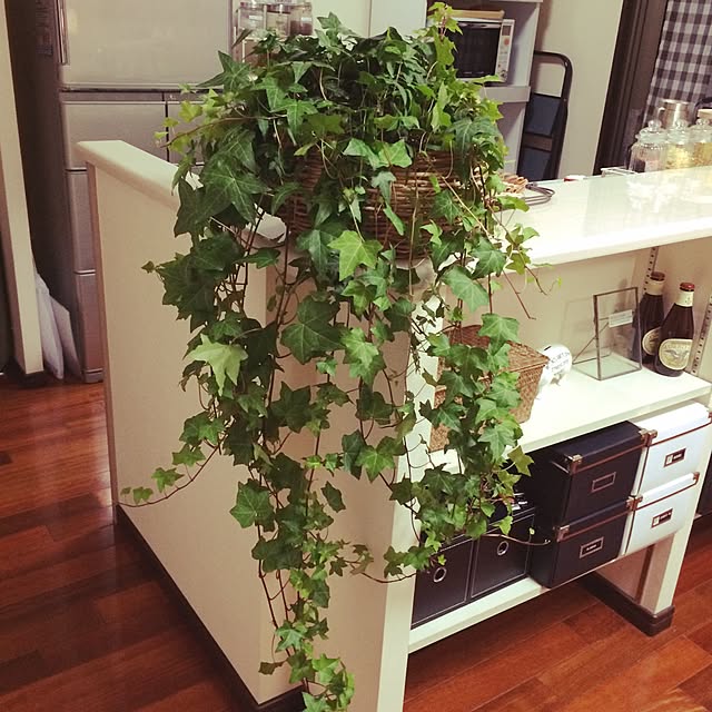 mymさんの実例写真