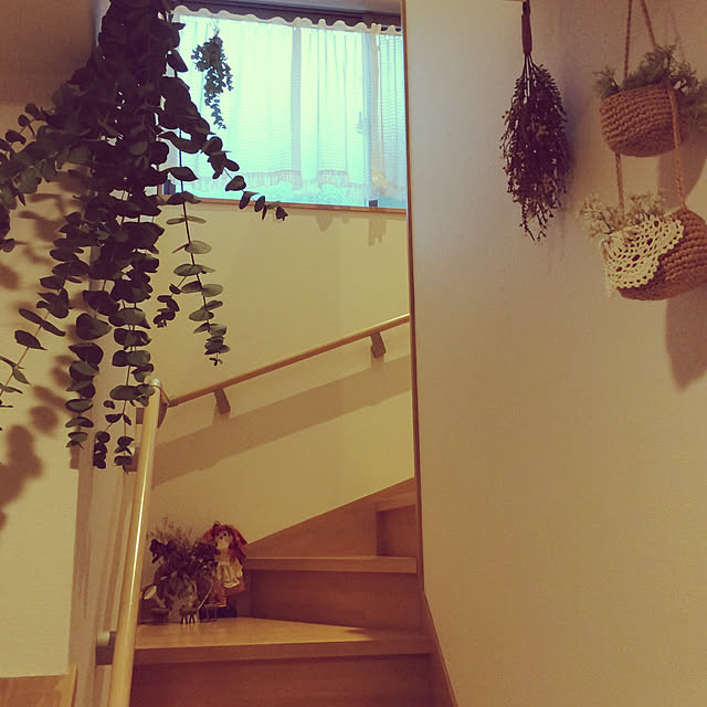 co__coco14さんの実例写真