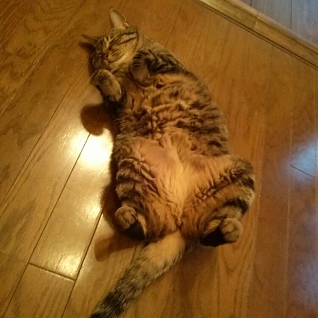 sukusuku834さんの実例写真