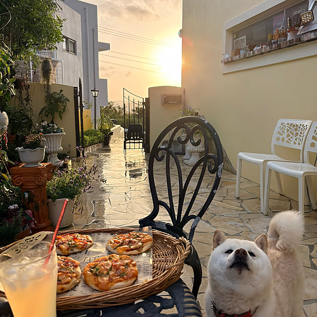 bu-bu-chanさんの実例写真