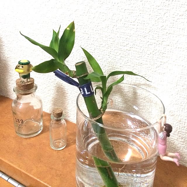 daiasaさんの実例写真