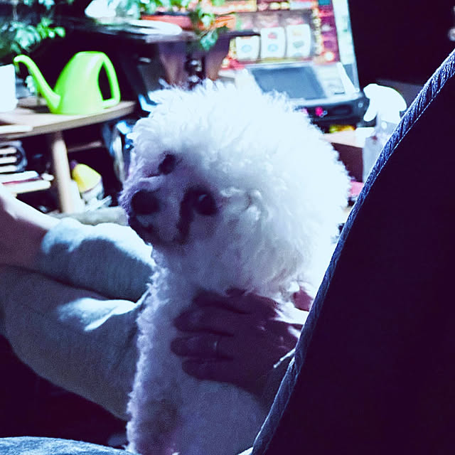 chacoさんの部屋