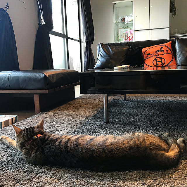 momoさんの実例写真