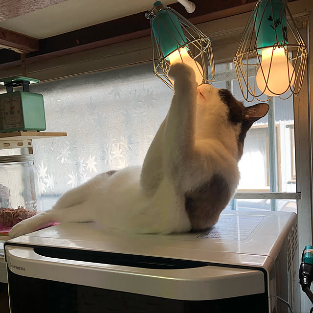 vivienne.coco-keiさんの実例写真