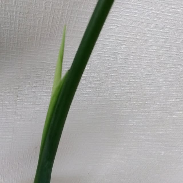 nanameさんの部屋