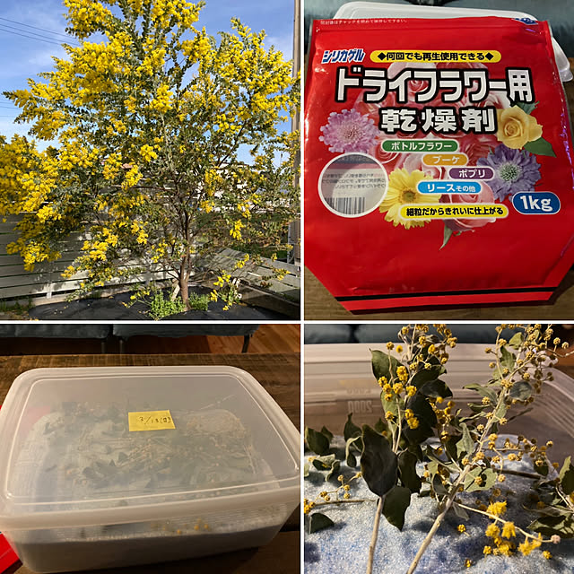 mkk8739hanasakuさんの実例写真