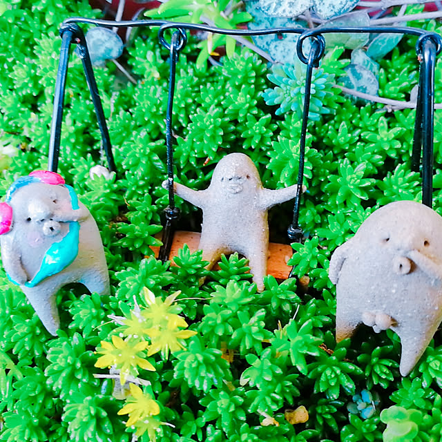 hana4504さんの実例写真