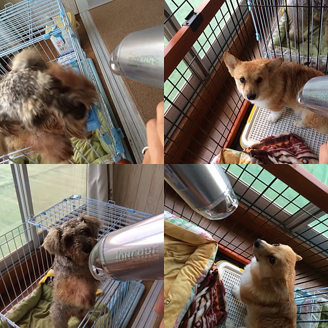 riicolatteさんの実例写真