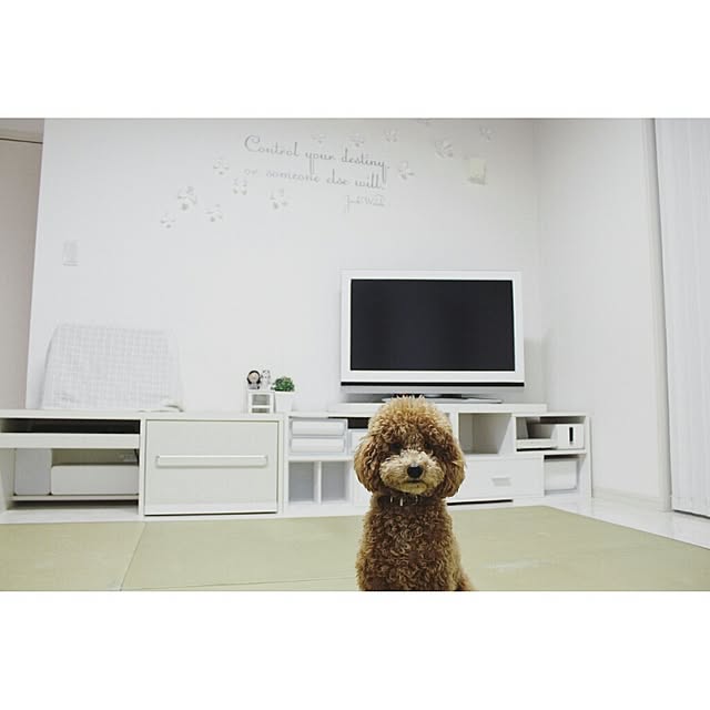 naoさんの実例写真