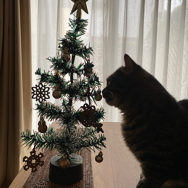 nocomomさんの部屋