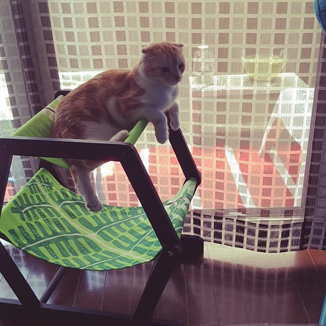 nico_mumさんの実例写真