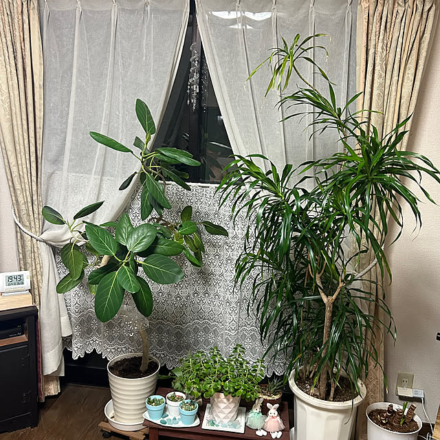ritsukoさんの部屋